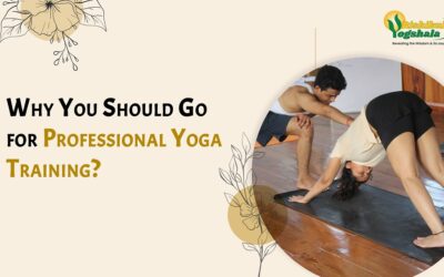 Why You Should Go for Professional Yoga Training?