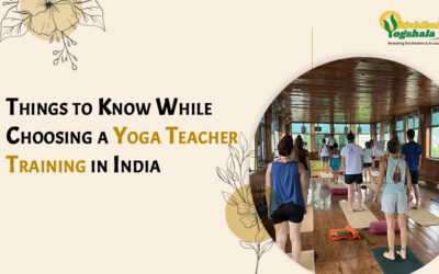 Things to Know While Choosing a Yoga Teacher Training in India