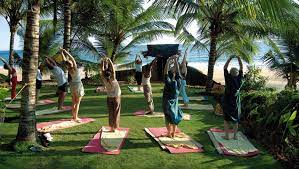 5-great-ways-to-spend-a-christmas-break-in-kerala-follow-yoga-life