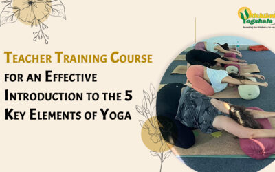 Teacher Training Course for an Effective Introduction to the 5 Key Elements of Yoga