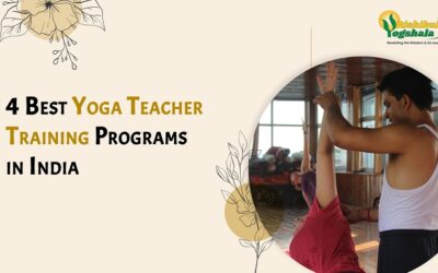 Yoga Teacher Training Programs (All You Need To Know)