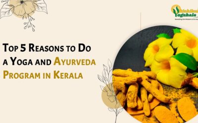 Top 5 Reasons to Do a Yoga and Ayurveda Program in Kerala