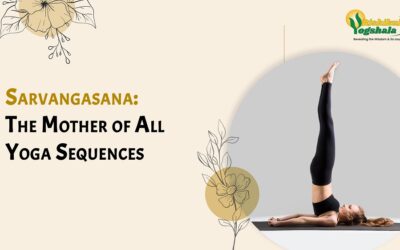 Sarvangasana: The Mother of All Yoga Sequences