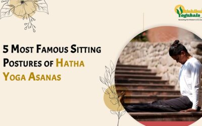 5 Most Famous Sitting Postures of Hatha Yoga Asanas