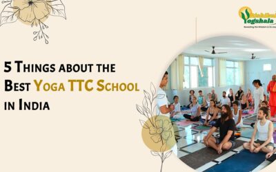 5 Things about the Best Yoga TTC School in India