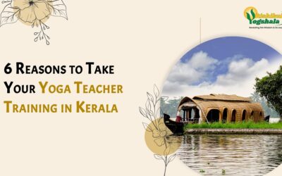 6 Reasons to Take Your Yoga Teacher Training in Kerala