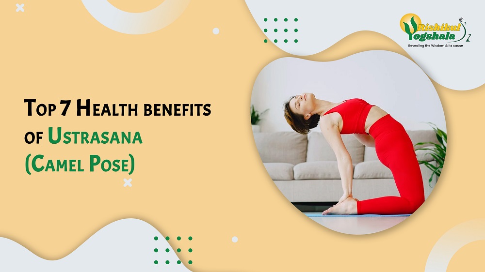 Dandasana or The Camel Yoga Pose - Practice and benefits #yoga  #yoginrainbow #health #exercise #fit #camel #came… | Basic yoga poses,  Basic yoga, Yoga for beginners
