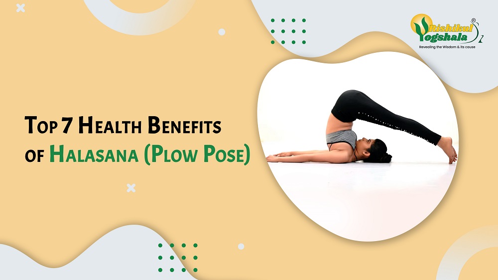 Plow Pose: Ground Your Body & Improve Circulation - The Wellness Corner