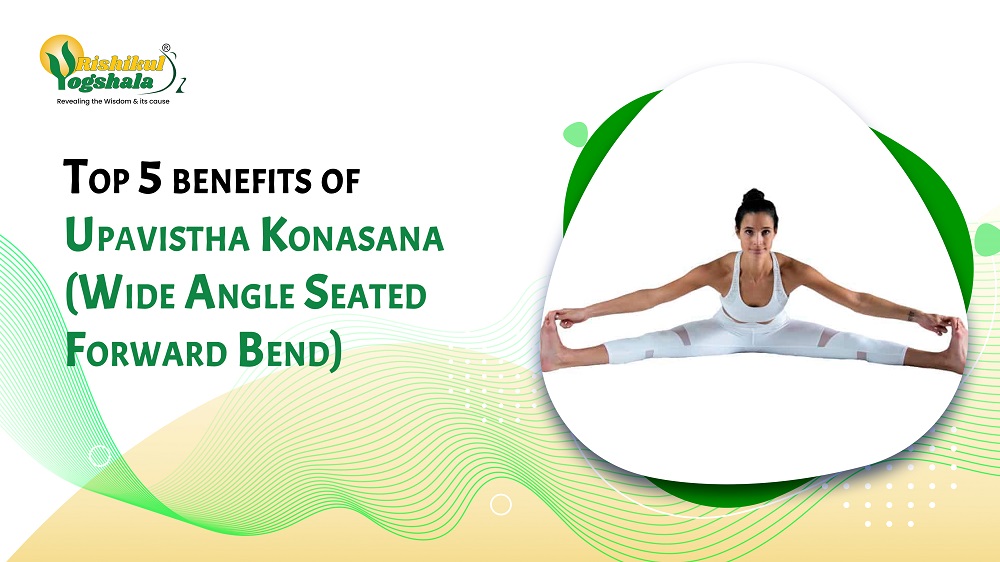Wide Angle Seated Forward Bend Pose (Upavistha Konasana) Dimensions &  Drawings | Dimensions.com