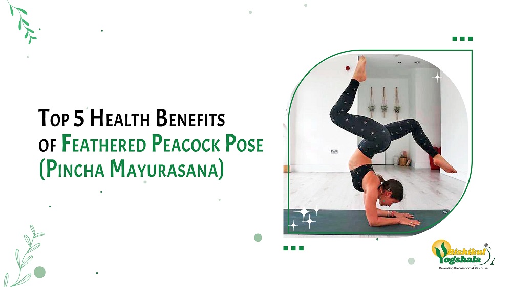 Pincha Mayurasana (Feathered Peacock Pose) To Strengthen Arms And Shoulders  