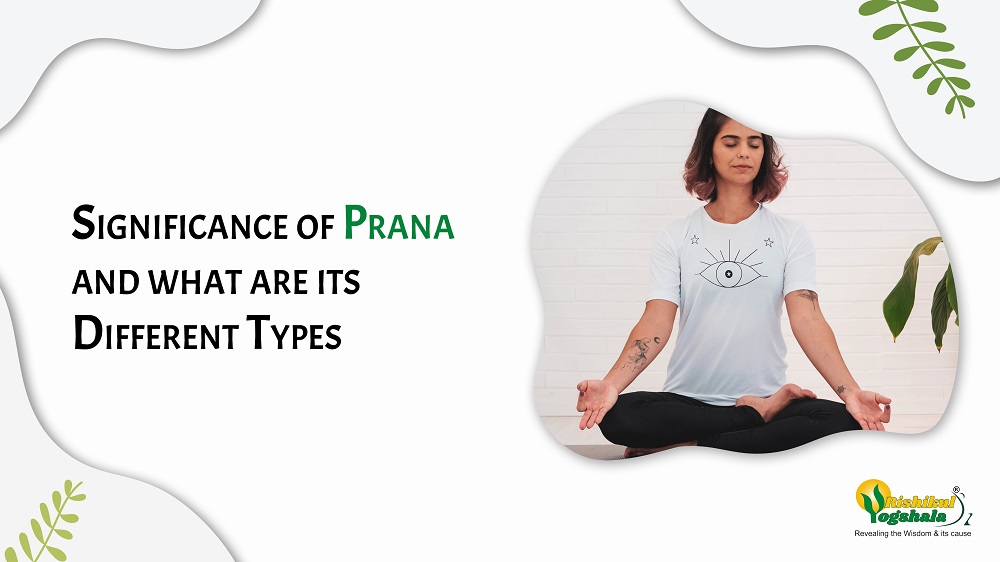 Panch Prana Table | PDF | Prana | Mental Training
