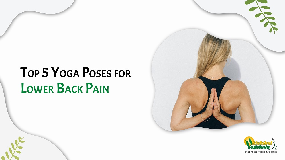 Yoga Poses For Lower Back Pain : r/yoga