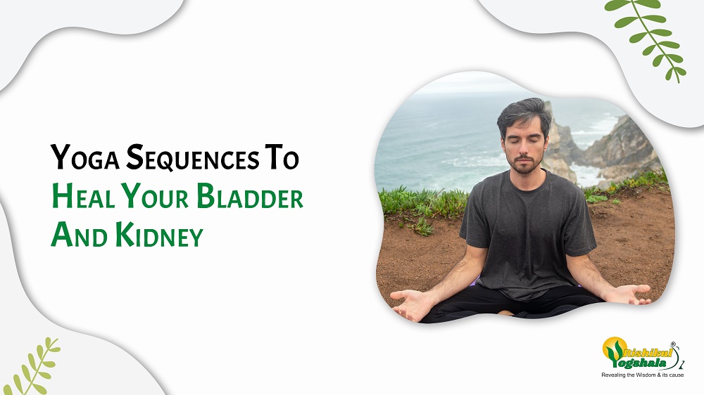 Yoga Sequences To Heal Your Bladder And Kidney - Rishikul Yogshala Blog