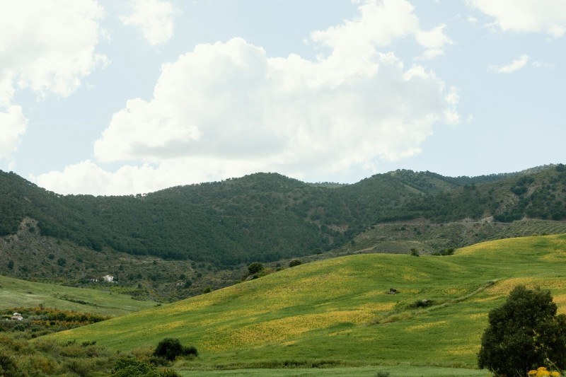 Lush greenery and hills