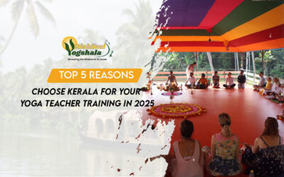 Top 5 Reasons to Choose Kerala for Your Yoga Teacher Training in 2025