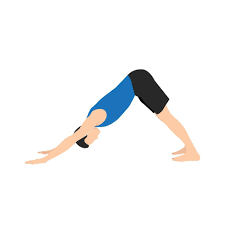 Adho Mukha Svanasana (Downward Dog) – Strengthen and Stretch Your Body