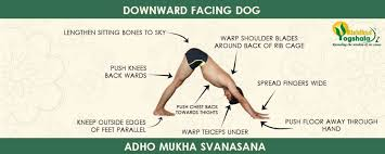 Downward Facing Dog Pose (Adho Mukha Svanasana): Improves Digestion