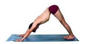 Adho Mukha Svanasana: Improves Digestion and Circulation, 