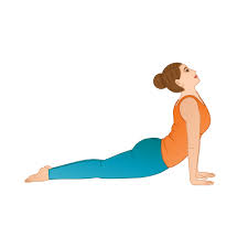 Upward Facing Dog Pose