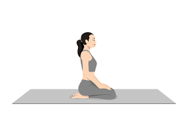 Powerful Vajrasana (Thunderbolt Pose) Variation for Strength & Flexibility