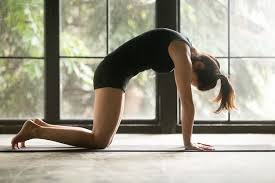 Marjaryasana (Cat Pose): Relieve Tension & Improve Flexibility