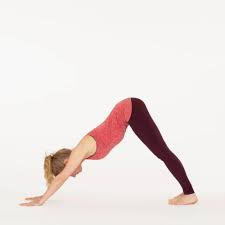 Adho Mukha Svanasana (Downward Dog Pose)