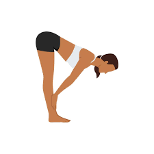 Uttanasana (Standing Forward Bend)