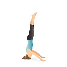 Sirsasana (Headstand Pose)