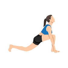 Equestrian Pose: Ashwa Sanchalanasana