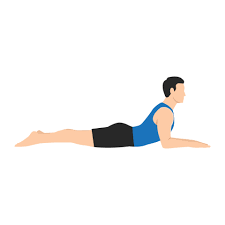 Sphinx Pose(Salamba Bhujangasana):  for spine strength and relaxation