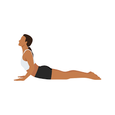 Bhujangasana 