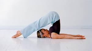 Poorva Halasana