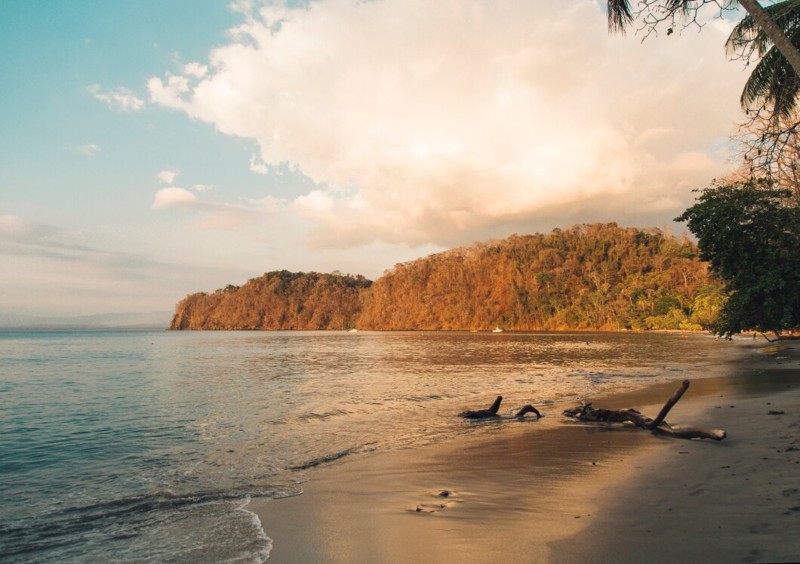 Tranquil Beaches and Backwaters
