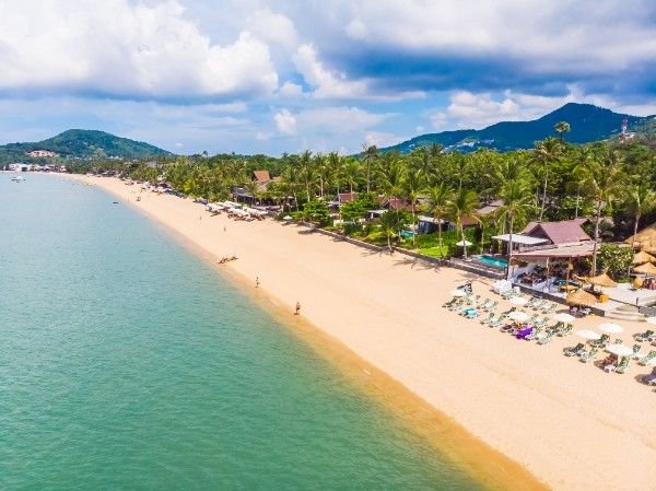 Aerial view of a tropical beach with golden sand, palm trees, and ocean waves