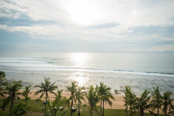 Beach view with palm trees, golden sand