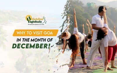 Why Should You Visit Goa in the Month of December?