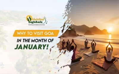 Why Should You Visit Goa in the Month of January?