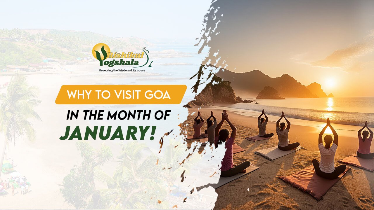 blog-rishikul-Why-Should-You-Visit-goa-in-the-Month-of-January