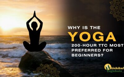 Why Is The Yoga 200-Hour TTC Most Preferred For Beginners?