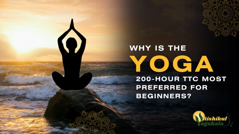 Why Is The Yoga 200-Hour TTC Most Preferred For Beginners?